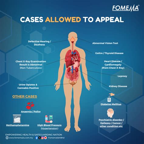 fomema check|Empowering Health & Safeguarding Nation – Empowering Health .
